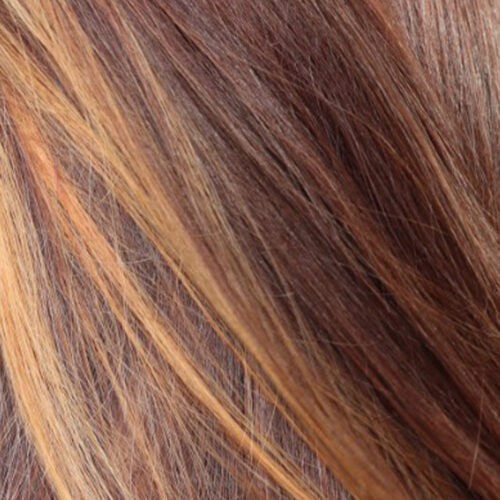 Warm Brown Sunkissed Highlights