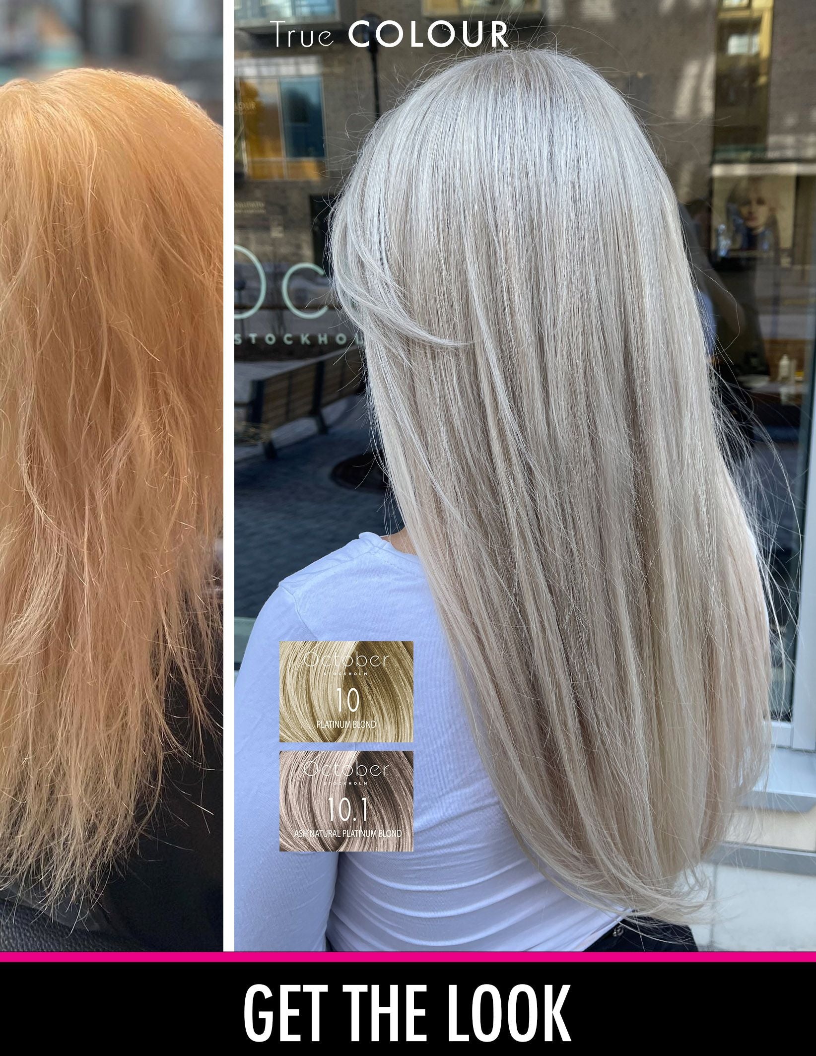 10.1 ASH NATURAL PLATINUM BLOND - Hårfärg