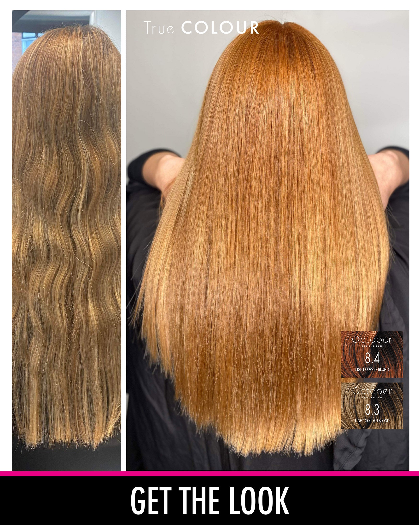 Före och efter-bild med October Stockholm True Colour i nyanserna "8.4 Light Copper Blond" och "8.3 Light Golden Blond", som visar en imponerande förändring till en ljus kopparblond hårfärg.