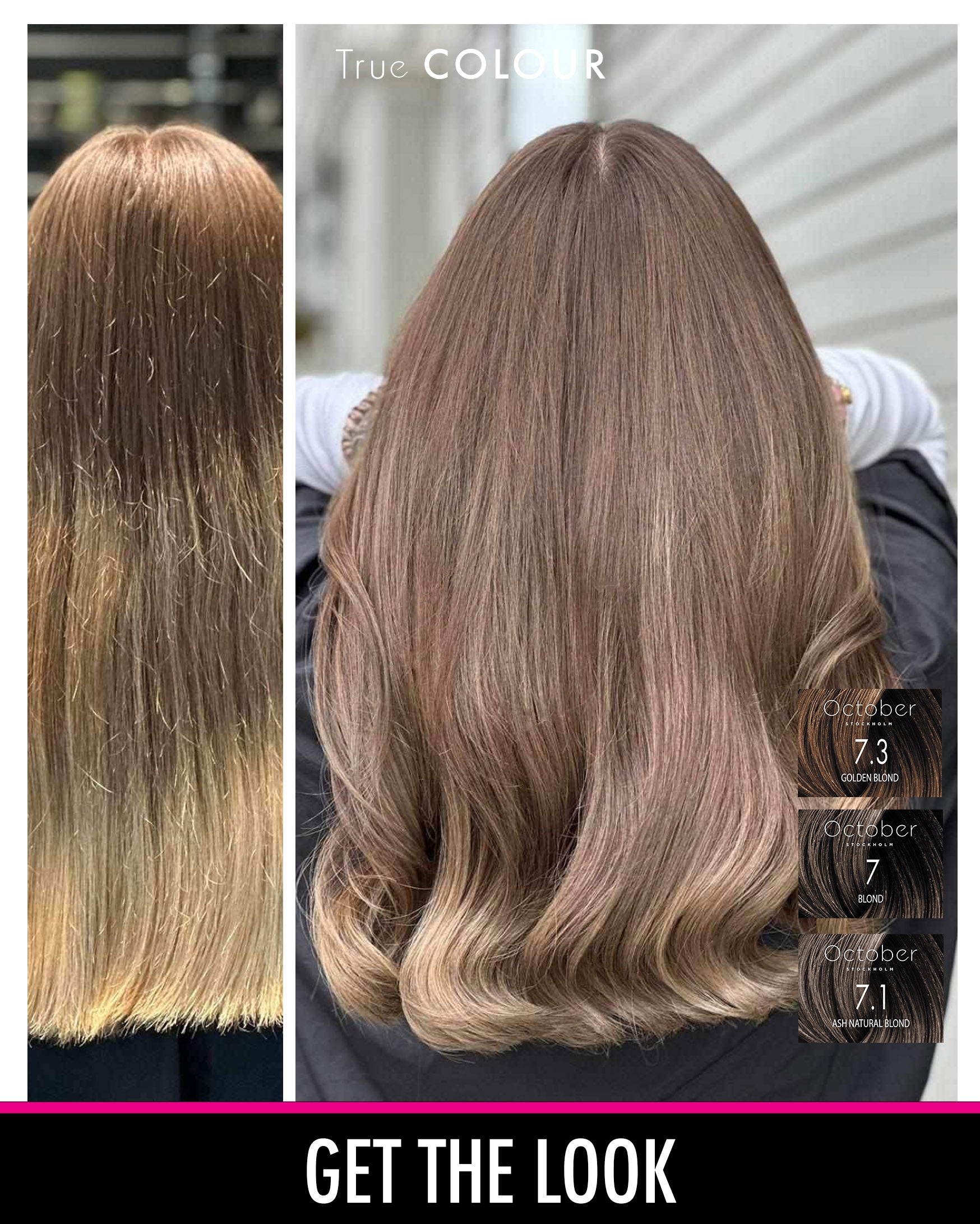 Före och efter-bild med October Stockholm True Colour i nyanserna "7.3 Golden Blond", "7 Blond", och "7.1 Ash Natural Blond", som visar en elegant transformation till en naturlig, askblond hårfärg.